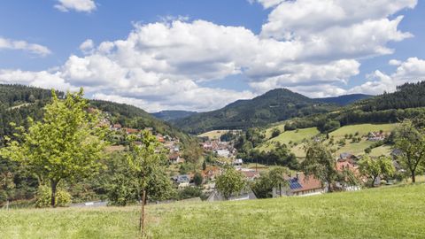Blick auf den Ort Bad Peterstal