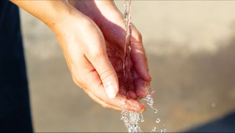 Mineralwasser aus Bad Peterstal-Griesbach