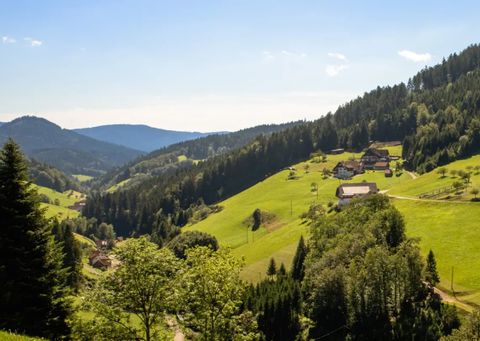 Schwarzwälder Wandersinfonie