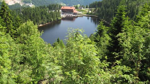 Mummelsee