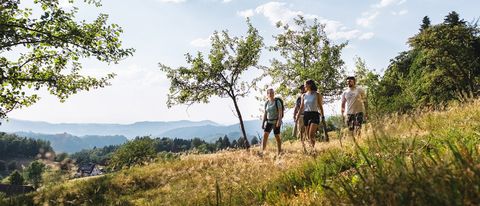 Wandergruppe auf dem Hochplateau Breitenberg, herbstliche Landschaft