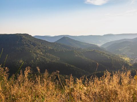 Wandern auf dem Sinfoniesteig, Blick vom Bauernkopf über das Tal