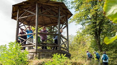 AugenBlick-Runde Schiltach