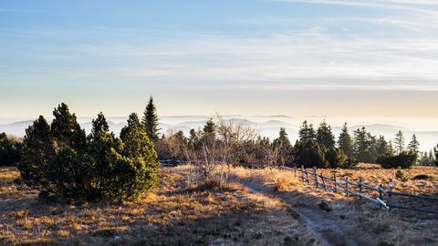 Nationalpark Schwarzwald