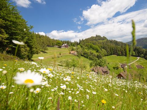Wiesensteig