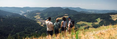 Sinfoniesteig/Aussicht auf dem Bauernkopf