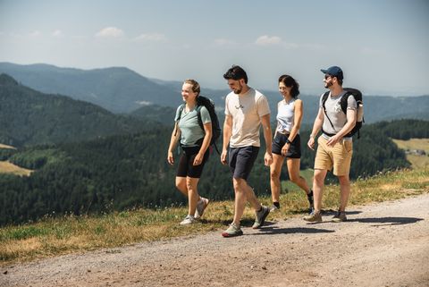 Wandern in Bad Peterstal-Griesbach