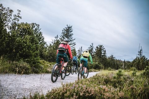 Mountainbike