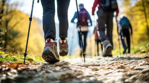 Klimawandern mit Walkingstöcken