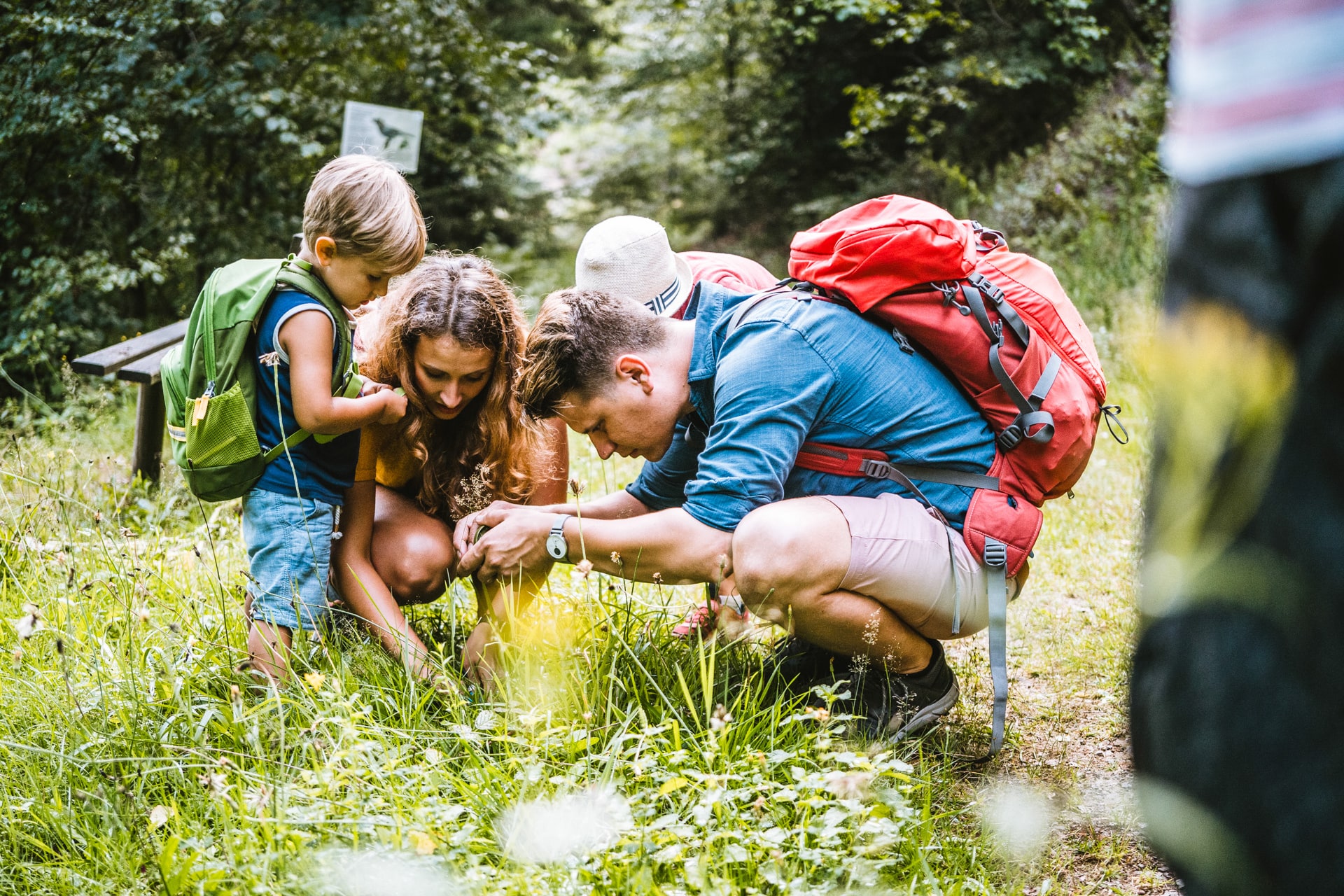 Familienzeit: Entdeckertour Pirschpfad in Bad Peterstal-Griesbach
