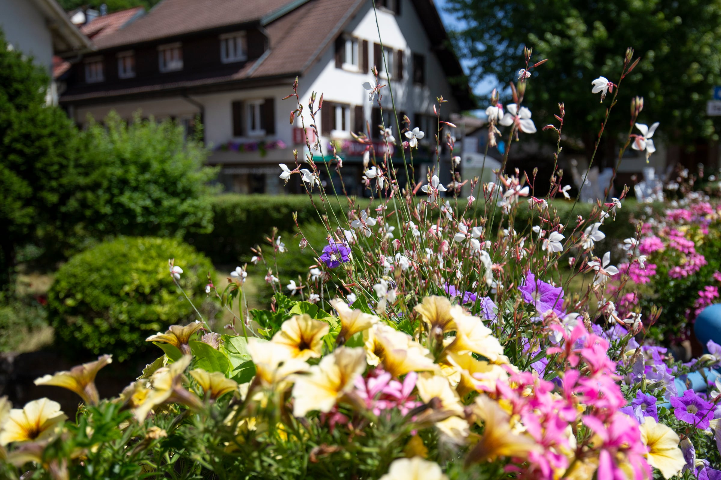 Unterkünfte in Bad Peterstal-Griesbach