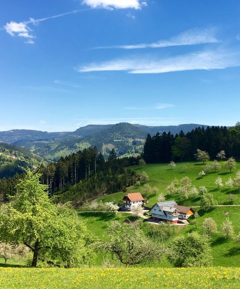 Hütten in Bad Peterstal-Griesbach